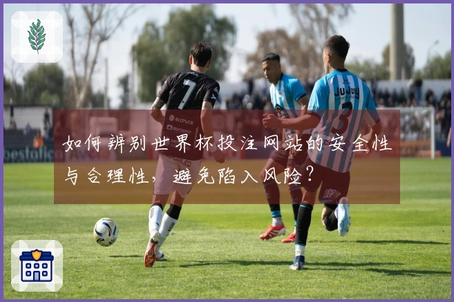 如何辨别世界杯投注网站的安全性与合理性，避免陷入风险？