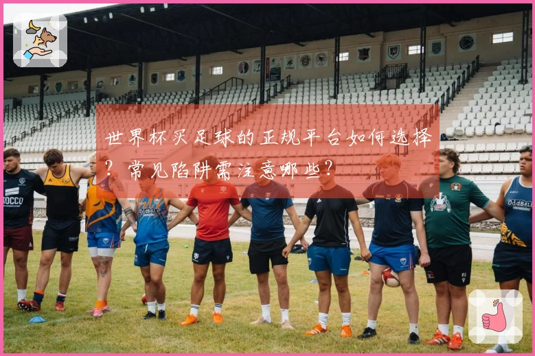 世界杯买足球的正规平台如何选择？常见陷阱需注意哪些？