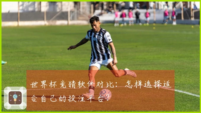 世界杯竞猜软件对比：怎样选择适合自己的投注平台？