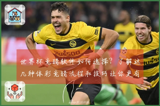 世界杯竞猜软件如何选择？了解这几种体彩竞猜流程和技巧让你更有把握