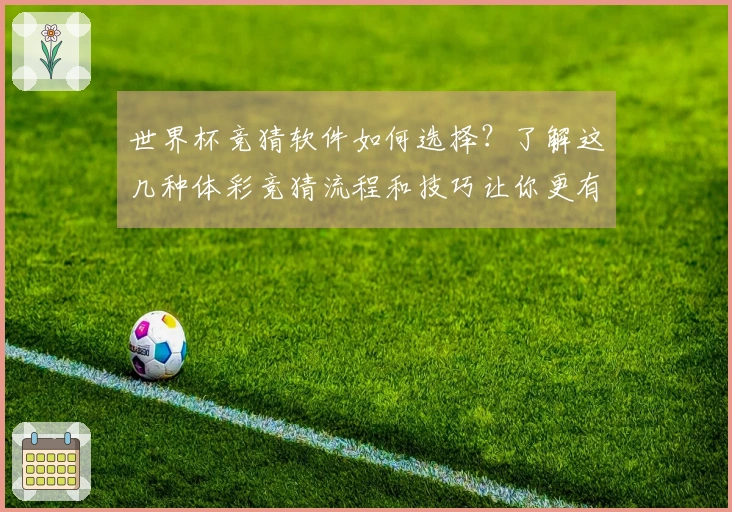 世界杯竞猜软件如何选择？了解这几种体彩竞猜流程和技巧让你更有把握