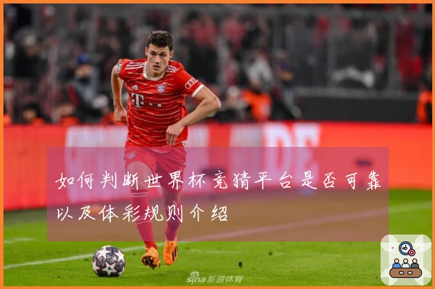 如何判断世界杯竞猜平台是否可靠以及体彩规则介绍