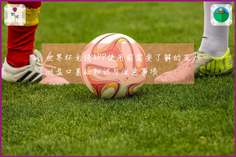 世界杯竞猜APP使用前需要了解的亚洲盘口基础知识与注意事项
