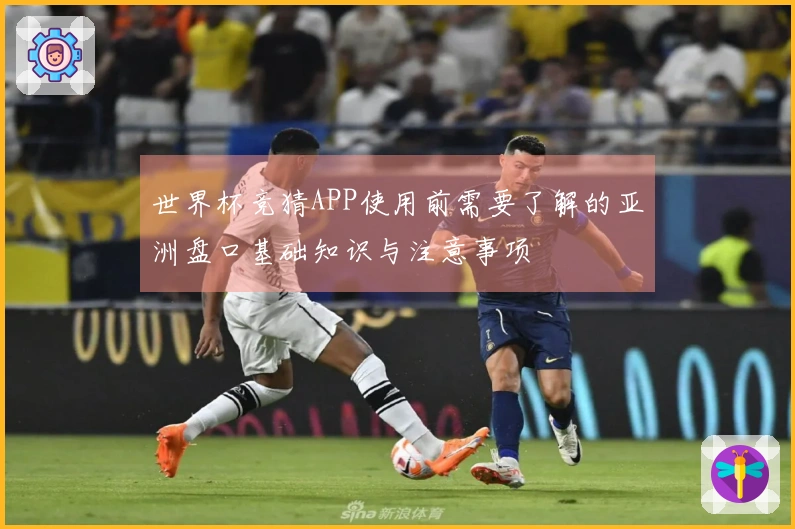 世界杯竞猜APP使用前需要了解的亚洲盘口基础知识与注意事项